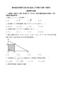 2022届陕西省西安中学等八校高三下学期3月第一次联考理科数学试题含解析