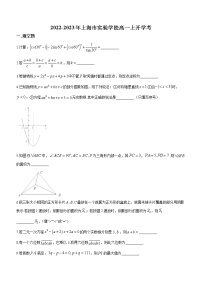上海市实验学校2022-2023学年高一上学期开学考数学试题（Word版含答案）