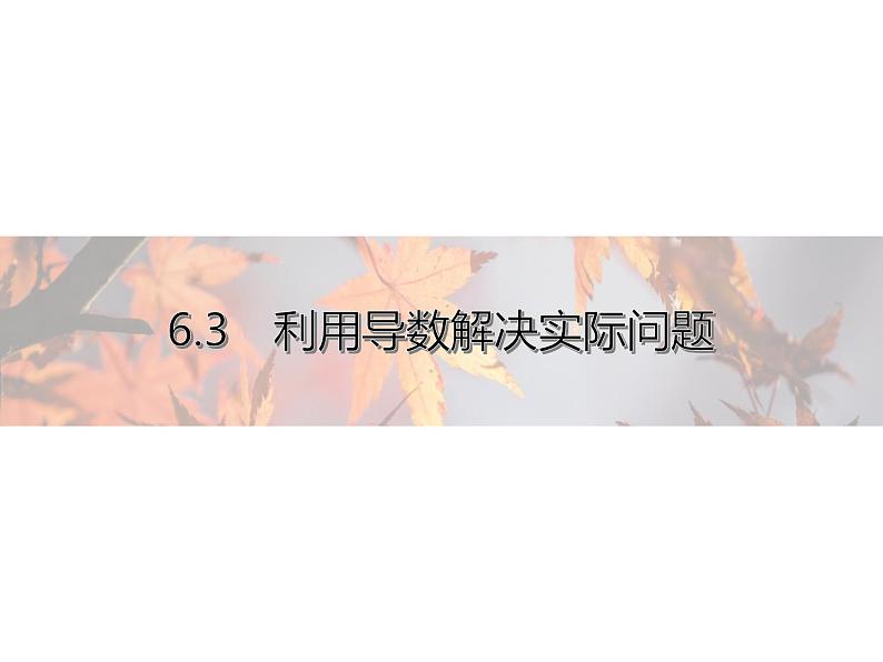 高中数学新人教B版选择性必修第三册 第六章 6.3 利用导数解决实际问题 课件01