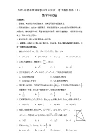 2023年普通高等学校招生全国统一考试模拟演练数学1