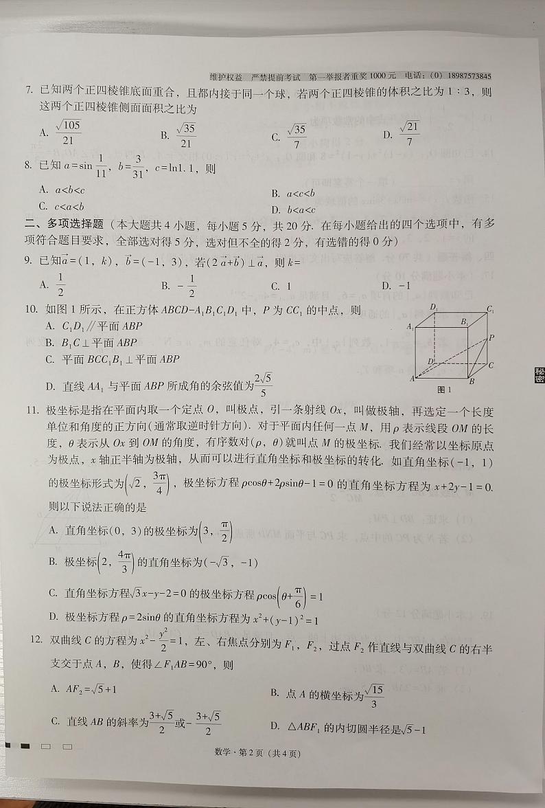 云南师大附中1019第2页