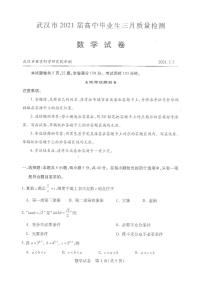 2021武汉高三3月质量检测数学试题图片版含答案