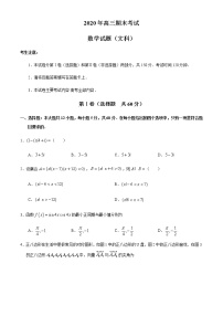 2021安徽省皖西南联盟高三上学期期末考试文科数学试题含答案