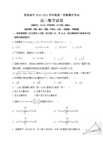 2021朝阳育英高考补习学校高三上学期期中考试数学试题含答案