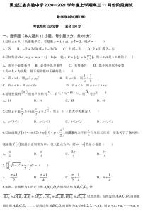 2021黑龙江省实验中学高三上学期11月份阶段测试理科数学试题PDF版含答案