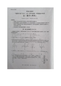 2021驻马店高三上学期11校期中联考数学（理）试题扫描版含答案