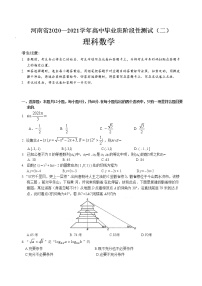 2021河南省高三毕业班阶段性测试（二）理科数学试题含答案