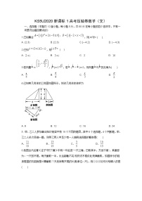 2020KS5U全国卷Ⅰ高考压轴卷数学（文）含解析