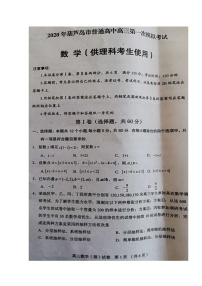 2020葫芦岛高三下学期第一次模拟考试数学（理）试题扫描版含答案