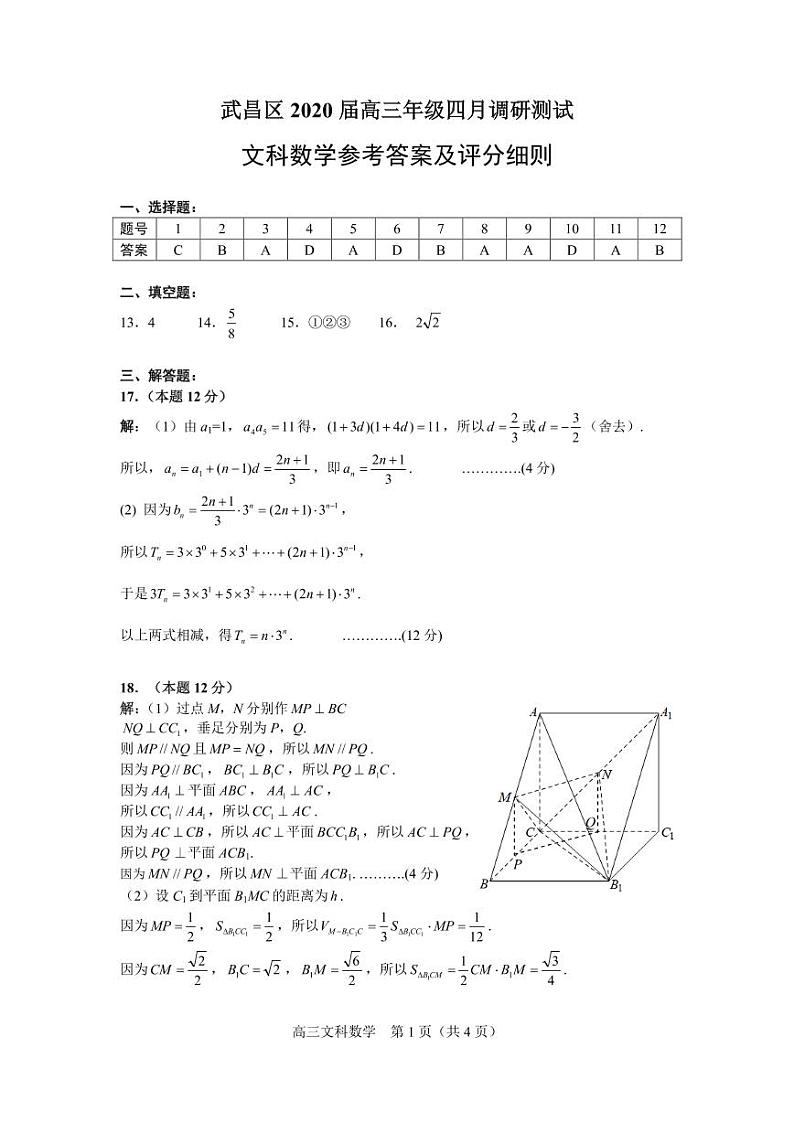 2020武汉武昌区高三四月调研测试数学（文）试题含答案01