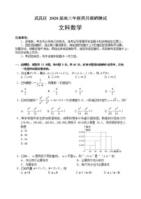 2020武汉武昌区高三四月调研测试数学（文）试题含答案