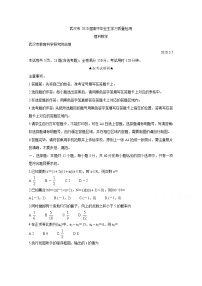 2020武汉高三下学期3月质量检测数学（理）含答案