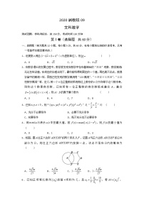 2020六安一中高三下学期模拟卷（九）数学（文）试题含答案