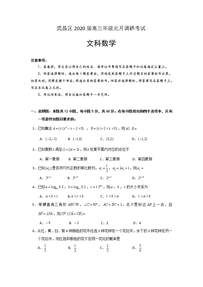 2020武汉武昌区高三元月调研考试数学（文）试题含答案01