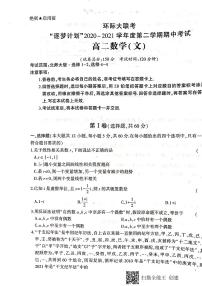 2021驻马店环际大联考高二下学期期中考试数学（文）试题扫描版含答案