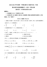 2021合肥六校高二上学期期末考试数学（文）试题含答案
