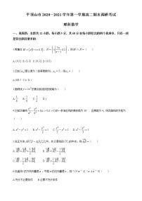 2021平顶山高二上学期期末数学（理）试题含答案