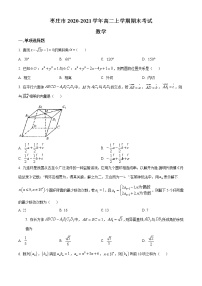 2021枣庄高二上学期期末考试数学试题含答案
