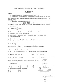 2020宜宾四中校高二下学期期中考试数学（文）试题含答案