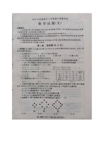 2020南阳高二下学期期中数学（文）试题扫描版含答案