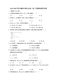 2020马鞍山高一下学期期末考试数学试卷含解析