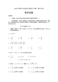 2020宜宾四中校高一下学期期中考试数学试题含答案