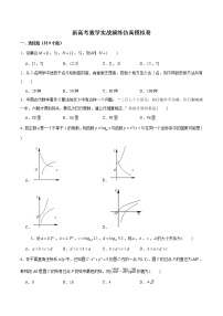 新高考数学实战演练仿真模拟卷3（2份打包，解析版+原卷版）