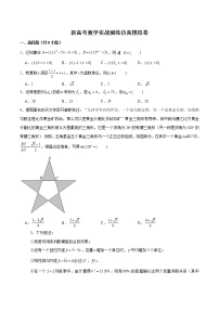新高考数学实战演练仿真模拟卷12（2份打包，解析版+原卷版）