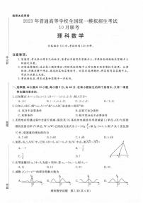 2023河南省名校高三上学期10月联考试题数学（理）PDF版含解析
