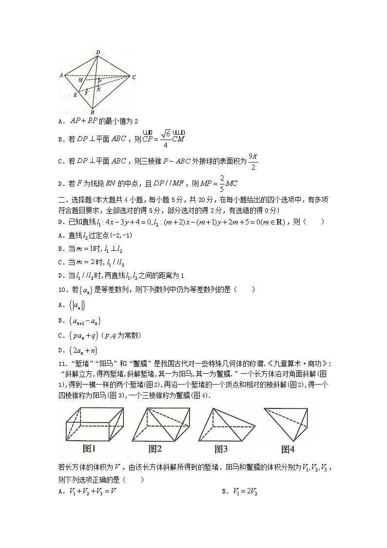 2023长沙长郡中学高二上学期期中考试数学试卷含答案02