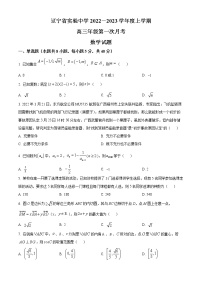 2023辽宁省实验中学高三上学期第一阶段测试卷数学含答案