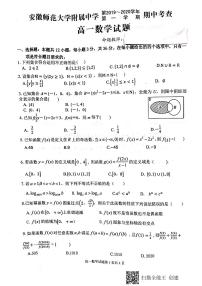 2019-2020学年安徽师范大学附属中学高一上学期期中考查数学试题 PDF版