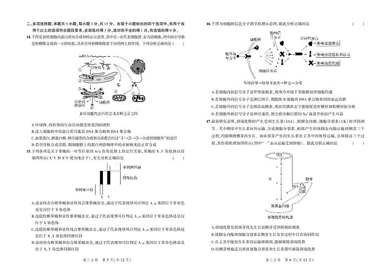 2023河北省示范性高中高三上学期9月份考试生物试题第3页