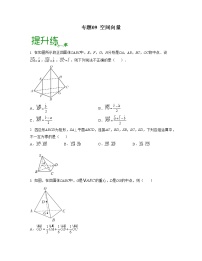 专题09 空间向量（亮点练）