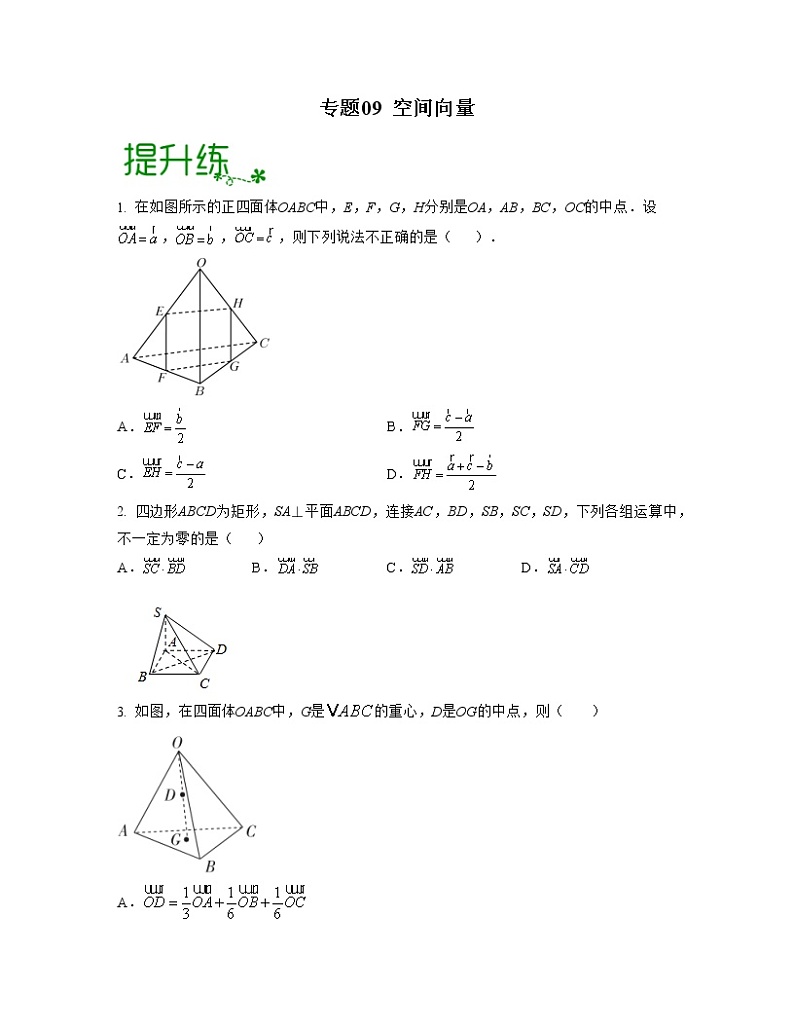 专题09 空间向量（亮点练）01