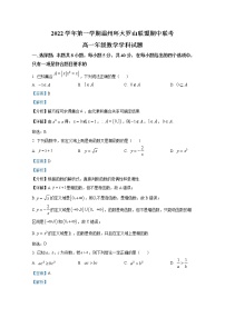 浙江省温州市环大罗山联盟2022-2023学年高一数学上学期期中联考试题（Word版附解析）