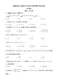 湖北省黄冈市黄梅国际育才高级中学2022-2023学年高三上学期期中数学试题