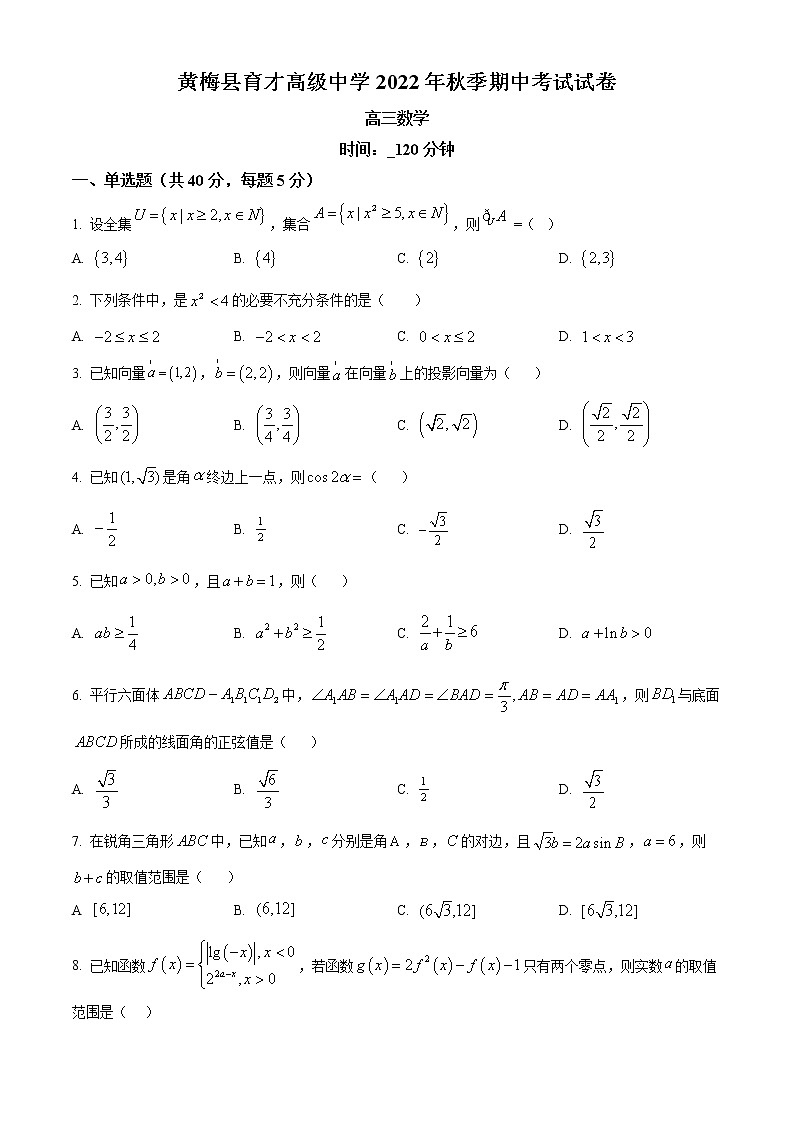 湖北省黄冈市黄梅国际育才高级中学2022-2023学年高三上学期期中数学试题01