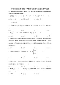 浙江省宁波市2023届高三数学上学期选考模拟试题（Word版附答案）