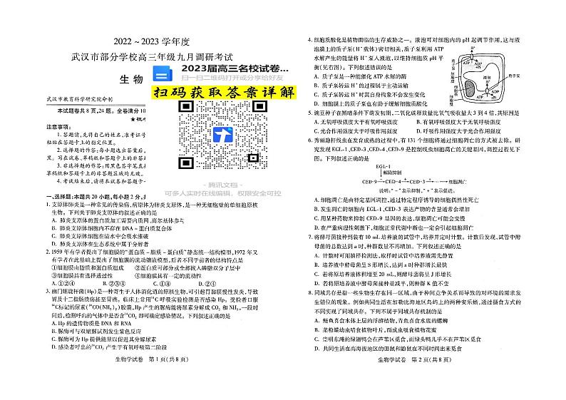 2023湖北省武汉市部分学校高三上学期9月调研考试数学试卷01