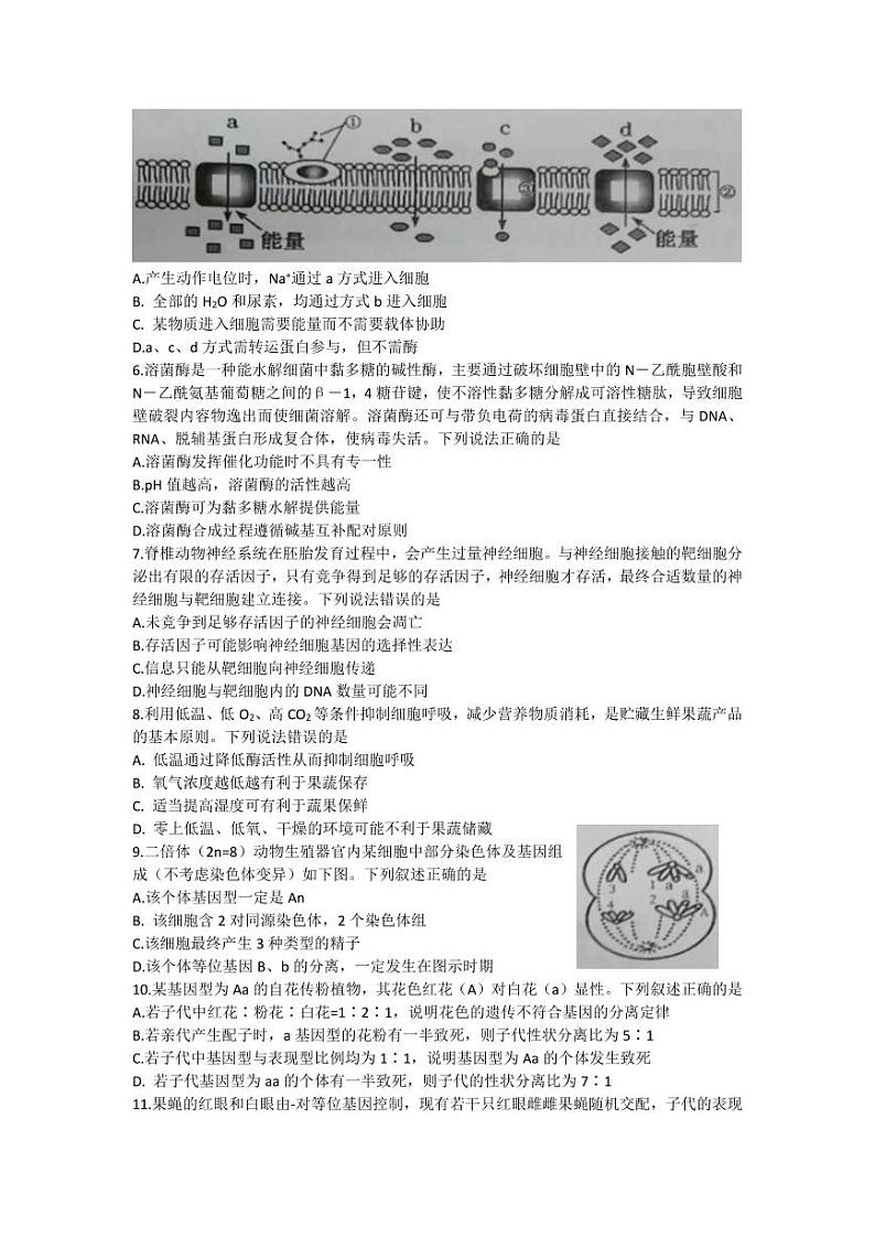 生物2023山东省潍坊市高三上学期10月份过程性检测第2页