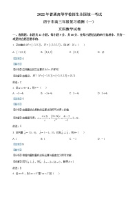 2022西宁高三下学期第一次模拟考试数学（文）试题含解析