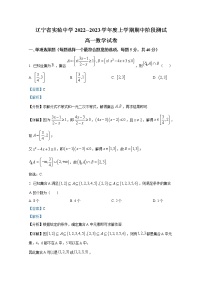 辽宁省实验中学2022-2023学年高一数学上学期期中阶段检测（Word版附解析）