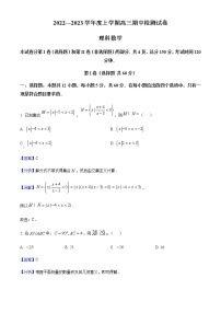 2023届甘肃省张掖市某重点校高三上学期期中检测数学（理）试题含解析