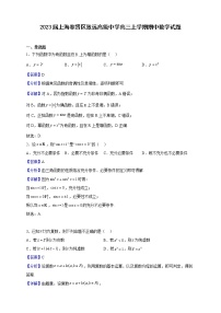 2023届上海奉贤区致远高级中学高三上学期期中数学试题含解析