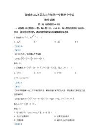 江苏省盐城市2022-2023学年高三数学上学期期中考试试题（Word版附解析）