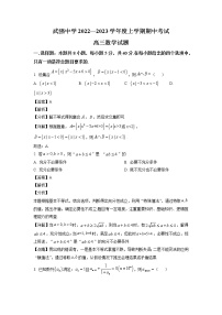 河北省武强中学2023届高三上学期期中数学试题（解析版）