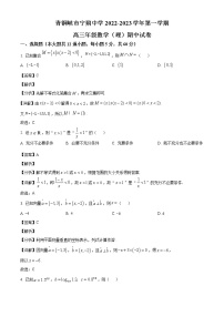 宁夏青铜峡市宁朔中学2023届高三上学期期中考试数学（理）试题（解析版）