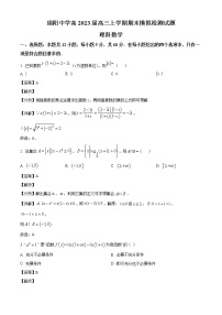 四川省绵阳中学2022-2023学年高三上学期期末模拟检测试题（解析版）