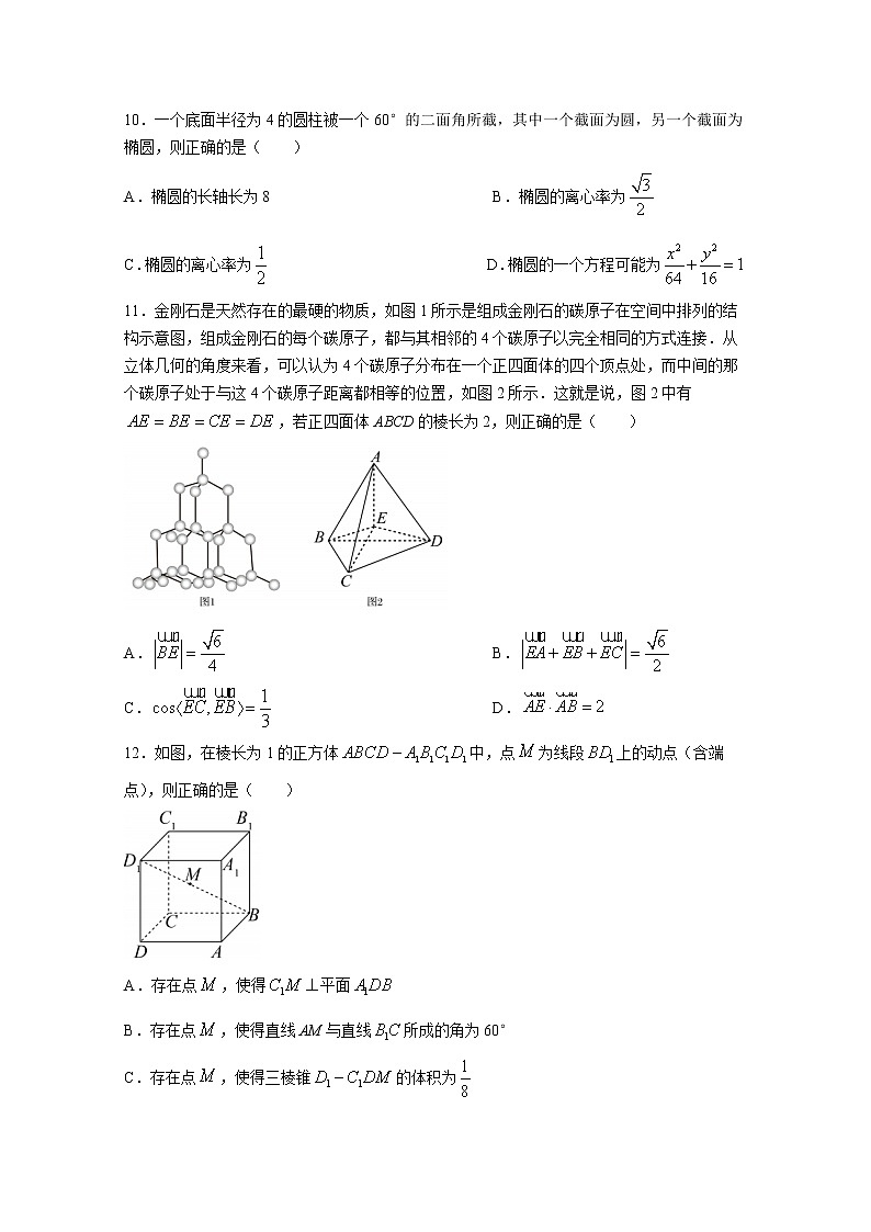 山东省日照市2022-2023学年高二数学上学期期中校际联考试题（Word版附解析）03